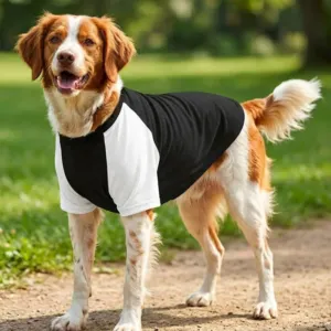 Dog’s raglan t-shirt